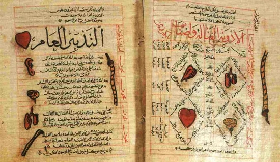 Islam en orgaan&shy;transplantatie: een veelbesproken vraagstuk