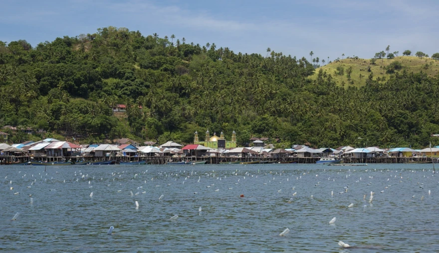 COVID-19’s Narratives of (In)Vulnerability: Islam, Water, and Success in Small Indonesian Islands