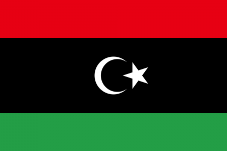 The Role of Sharia in the New Constitution for Libya