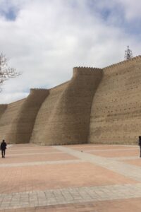 LIB Toby Jones The Ark Bukhara